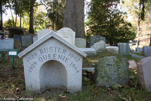 The Hartsdale Pet Cemetery