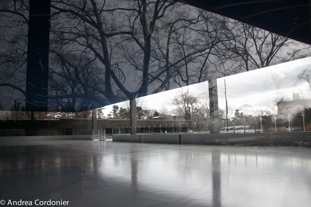 Ice skating rinks in New York City, Prospect Park